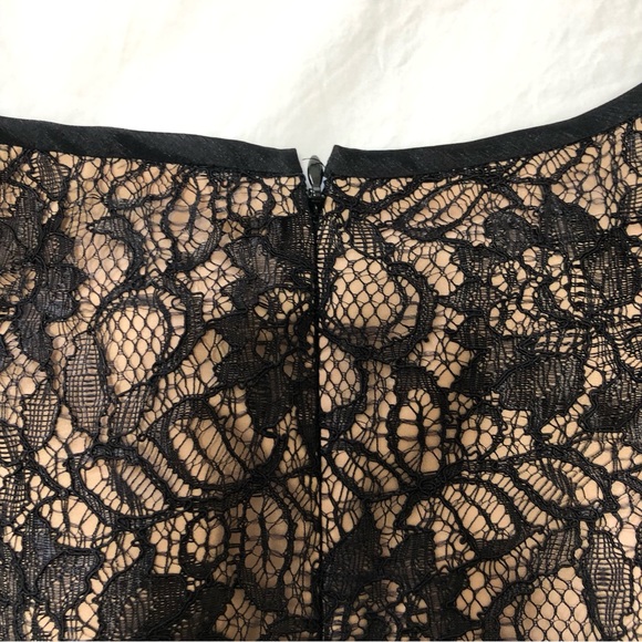 Cache Nude and Black Lace Dress - Picture 6 of 7